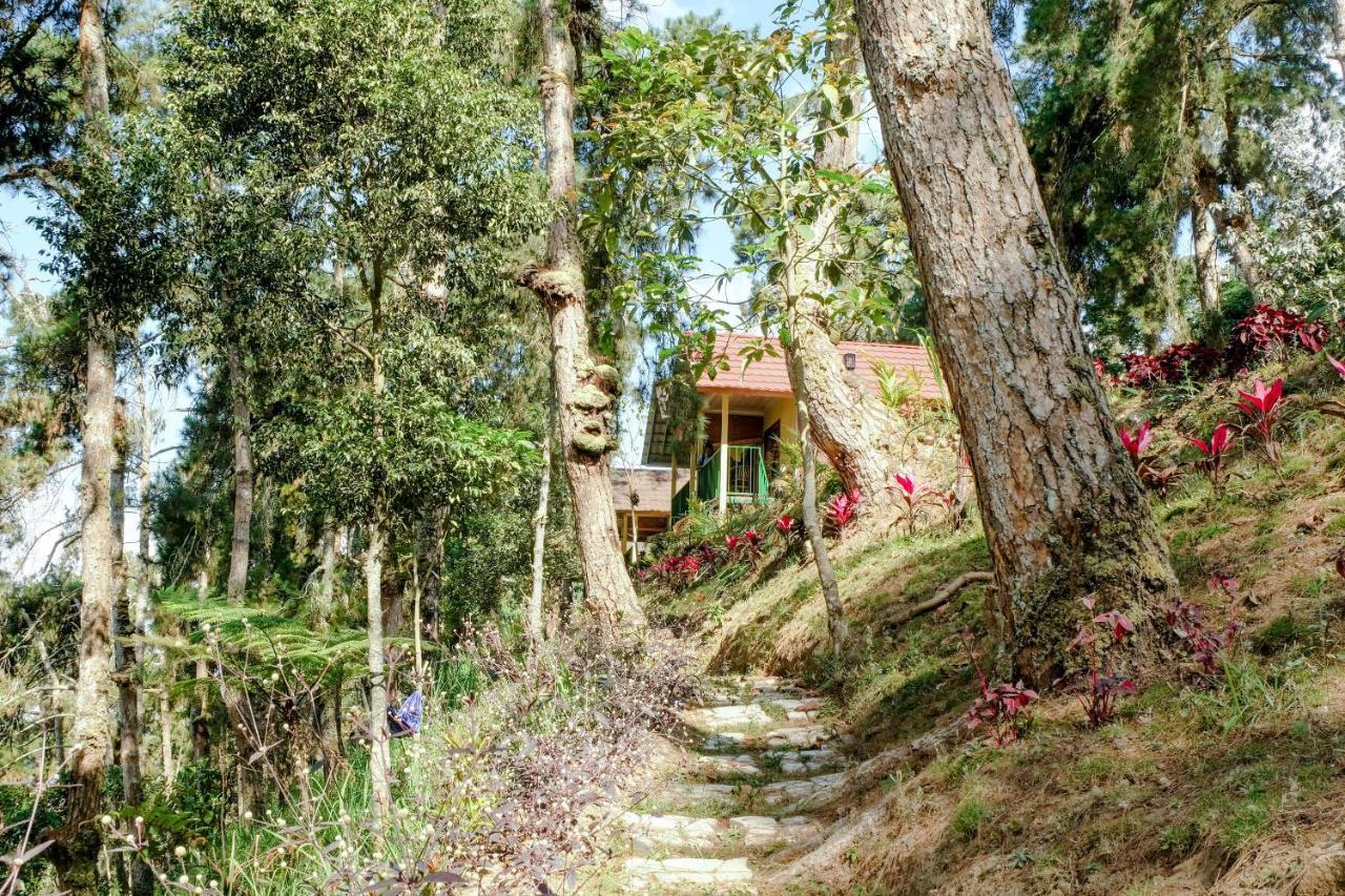 โอโย 1175 อูมะฮ์ ดโจโว รีสอร์ต Hotel Magetan ภายนอก รูปภาพ